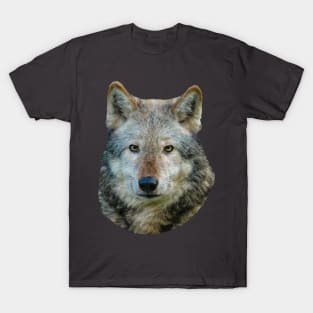 Wolf T-Shirt